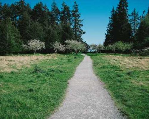 The Download: a controversial proposal to solve climate change, and our future grids