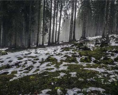 AI used in warfare needs a strong ethical framework